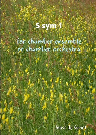S sym 1 for chamber ensemble or chamber orchestra