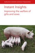 Instant Insights: Improving the welfare of gilts and sows