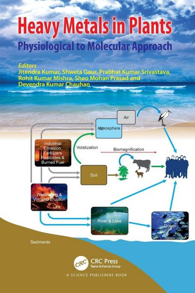 Heavy Metals in Plants