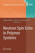 Neutron Spin Echo in Polymer Systems