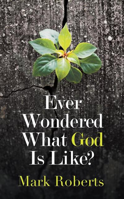 Ever Wondered What God Is Like?