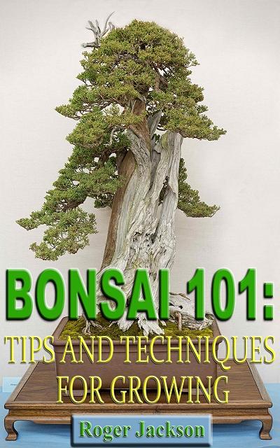 Bonsai 101: Tips and Techniques for Growing