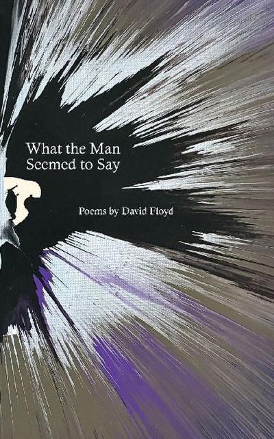 What the Man Seemed to Say