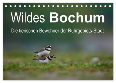 Wildes Bochum (Tischkalender 2026 DIN A5 quer), CALVENDO Monatskalender