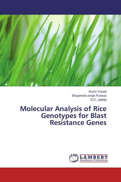Molecular Analysis of Rice Genotypes for Blast Resistance Genes