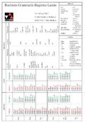 Grammatik-Begleiter Latein: Falttafel mit Übersich