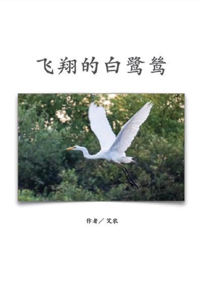飞翔的白鹭鸶（简体中文版）