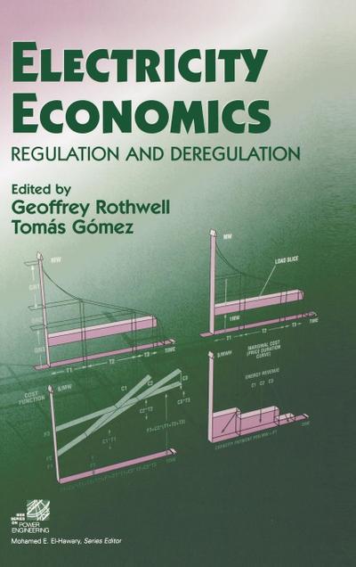 Electricity Economics
