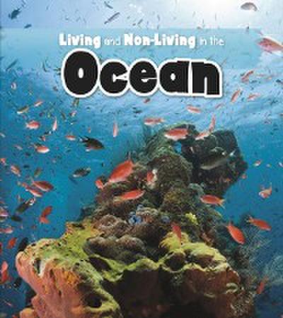 Living and Non-living in the Ocean