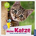 Meine Katze