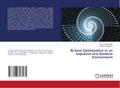 Bi-level Optimization in an Imprecise and Random Environment