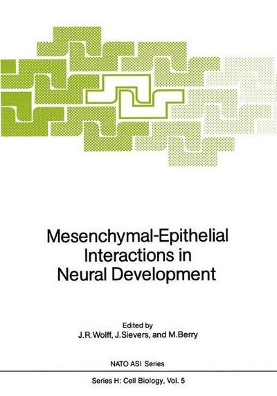 Mesenchymal-Epithelial Interactions in Neural Development