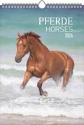 Pferde 2026 - Bildkalender 23,7x34 cm - Kalender mit Platz für Notizen - mit vielen Zusatzinformationen - Horses - Wandkalender - Alpha Edition