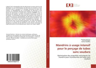 Mandrins à usage intensif pour le perçage de tubes sans soudure