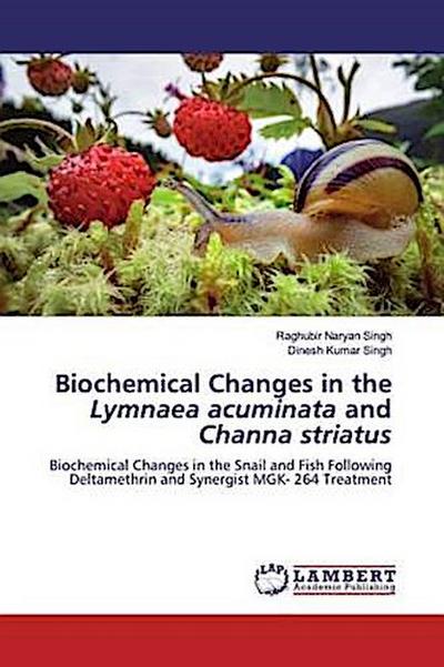 Biochemical Changes in the Lymnaea acuminata and Channa striatus