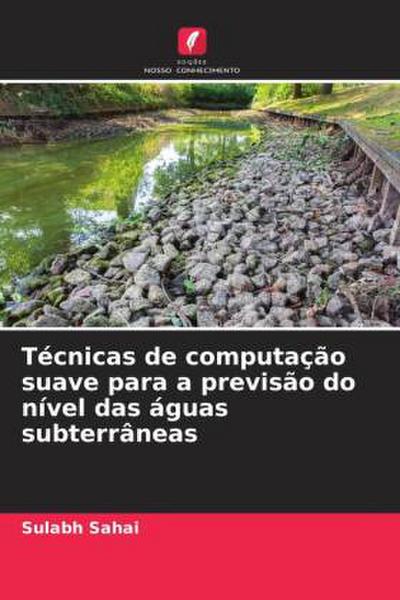 Técnicas de computação suave para a previsão do nível das águas subterrâneas