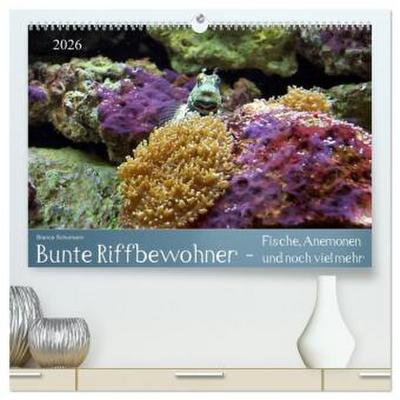 Bunte Riffbewohner - Fische, Anemonen und noch viel mehr (hochwertiger Premium Wandkalender 2026 DIN A2 quer), Kunstdruck in Hochglanz