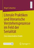Literale Praktiken und literarische Verstehensproz