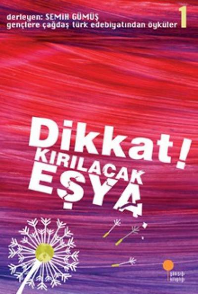 Dikkat Kirilacak Esya