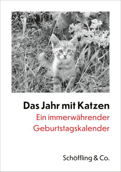 Das Jahr mit Katzen