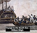 Voyage to the South Sea