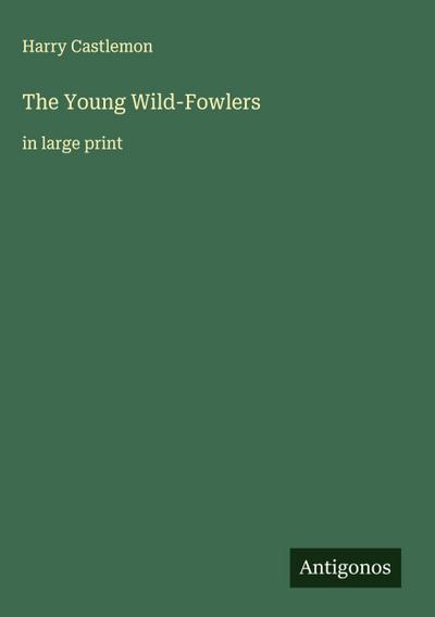 The Young Wild-Fowlers