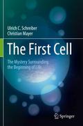 The First Cell