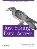 Just Spring Data Access