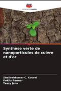 Synthèse verte de nanoparticules de cuivre et d’or