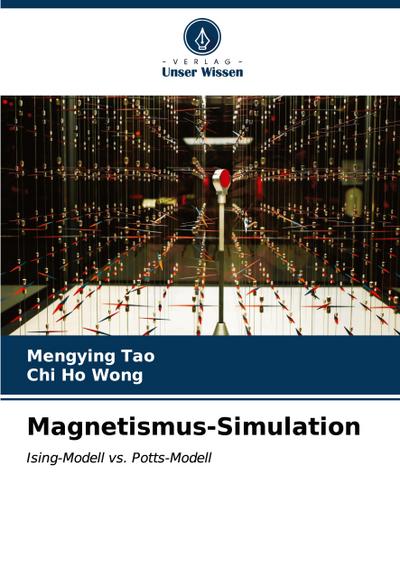 Magnetismus-Simulation