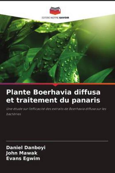 Plante Boerhavia diffusa et traitement du panaris