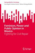 Feminism, Power and Public Opinion in Mexico