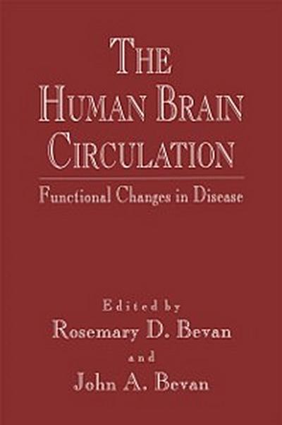 Human Brain Circulation