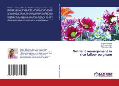 Nutrient management in rice fallow sorghum