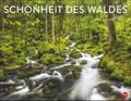 Schönheit des Waldes 2027