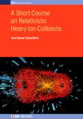 A Short Course on Relativistic Heavy Ion Collisions