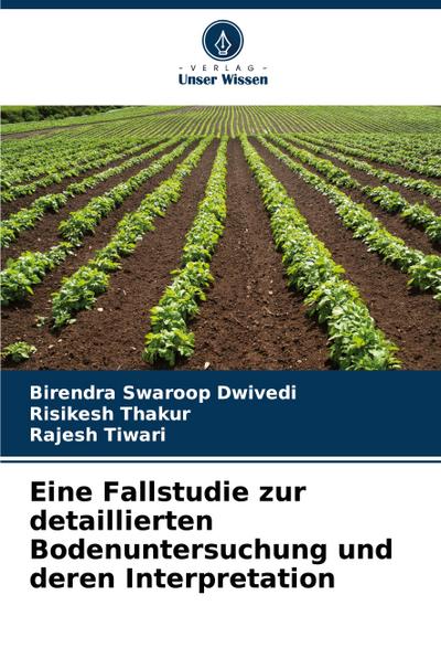Eine Fallstudie zur detaillierten Bodenuntersuchung und deren Interpretation