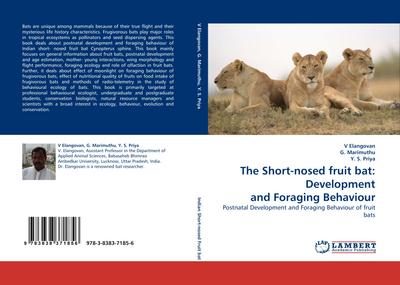 The Short-nosed fruit bat: Development and Foraging Behaviour
