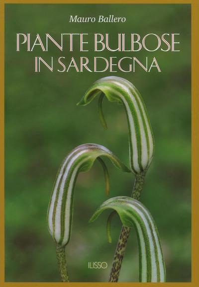 Piante bulbose in Sardegna