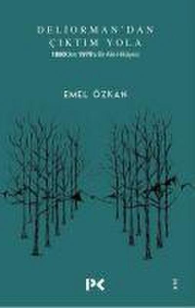 Deliormandan Ciktim Yola