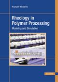 Rheology in Polymer Processing von Krzysztof Wilczyński | Ebook