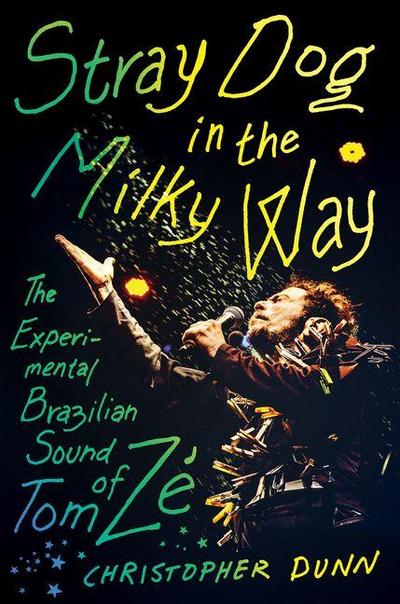 Stray Dog in the Milky Way