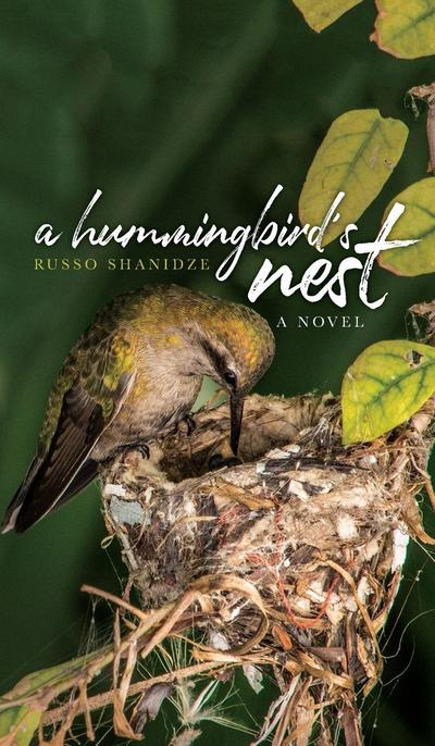 A Hummingbird’s Nest