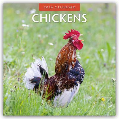 Chickens - Hühner 2026 - 16-Monatskalender