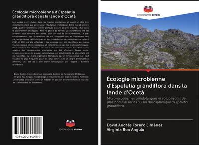 Écologie microbienne d’Espeletia grandiflora dans la lande d’Ocetá
