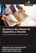 Struttura dei bilanci di Argentina e Brasile
