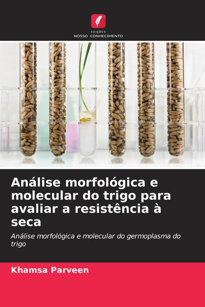 Análise morfológica e molecular do trigo para avaliar a resistência à seca