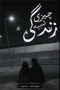 چیزی شبیه زندگی