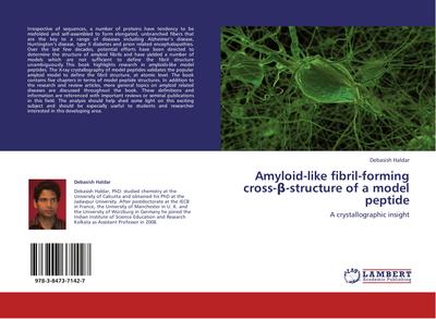 Amyloid-like fibril-forming cross-¿-structure of a model peptide