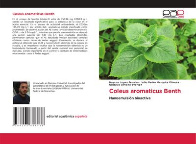 Coleus aromaticus Benth